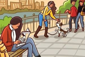 El acertijo del cual solo expertos podrán resolverlo