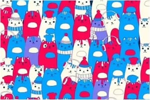 El acertijo donde se deberá encontrar al conejo en medio de una manada de gatos