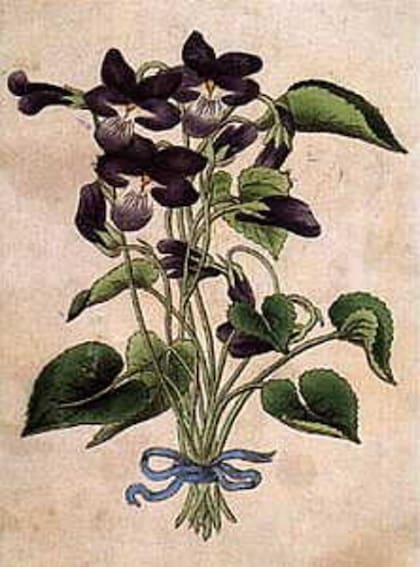 El acertijo que se deberá completar en seis segundos