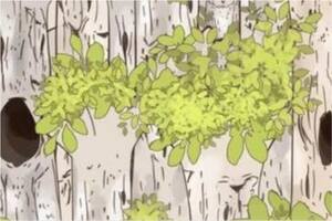 El acertijo que se deberá resolver en menos de 5 segundos