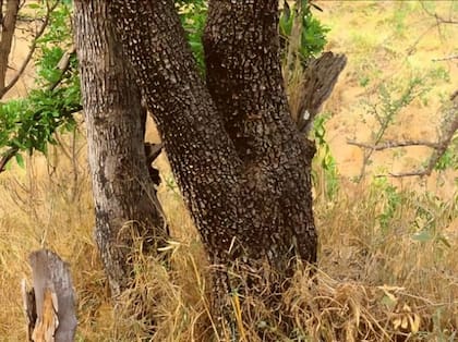 El acertijo que solo el 1% puede resolver