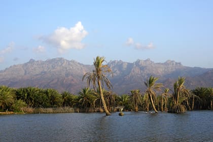 La isla yemení de Socotra mide 130 kilómetros