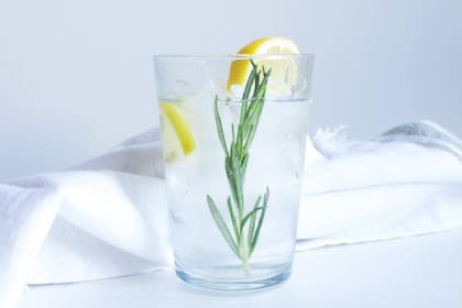 El ácido rosmarínico y los antioxidantes estimulan la función cognitiva en adultos sanos