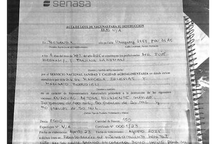 El acta de destrucción del lote de vacunas que ingresaron al laboratorio