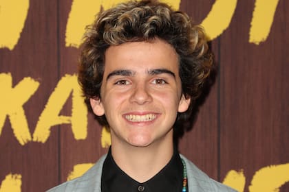 El actor, con tan solo 17 años, ya brilló en películas como It y Beautiful Boy, y en TV en Me, Myself & I y We Are Who We Are