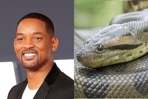 Cómo Will Smith ayudó a descubrir la serpiente más grande del mundo