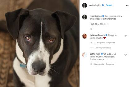 El actor se despidió de su mascota de hace 12 años, Gus