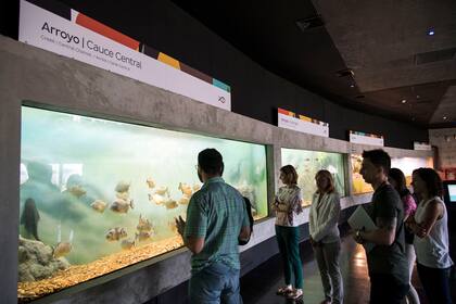 Las visitas son guiadas para grupos de hasta 25 personas y arrancan cada 15 minutos