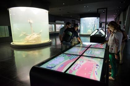 El Acuario Río Paraná se transformó en el espacio más grande de conservación y educación de la fauna de río de la región