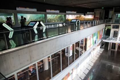 En la planta baja se encuentran los laboratorios done trabajan los especialistas y científicos del acuiario