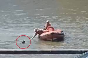 El acusado de abuso se tiró a uno de los diques de Puerto Madero y tuvo que ser rescatado por Prefectura Naval