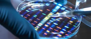 Desafían las leyes de la física y prometen solucionar el problema del almacenamiento masivo de datos