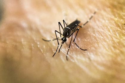 Los casos en Salta aumentaron un 43% en una semana