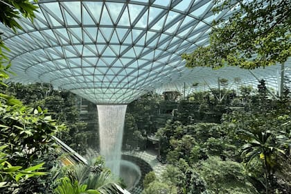 El aeropuerto Changi de Singapur se destaca por su arquitectura (Foto Unplash)