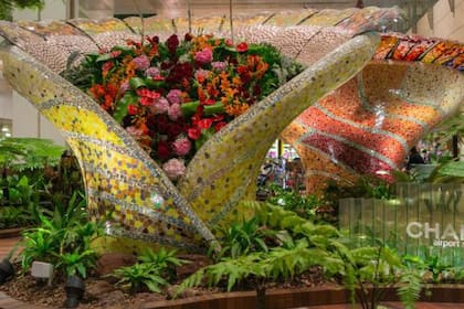 El aeropuerto de Changi tiene varios jardines con plantas autóctonas de Singapur