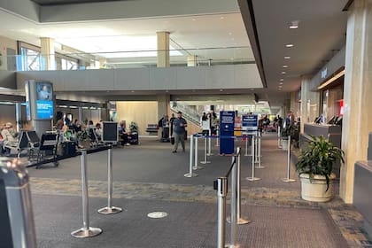 El aeropuerto informó que el oso había sido entregado al sector de objetos perdidos alrededor de las 16 horas