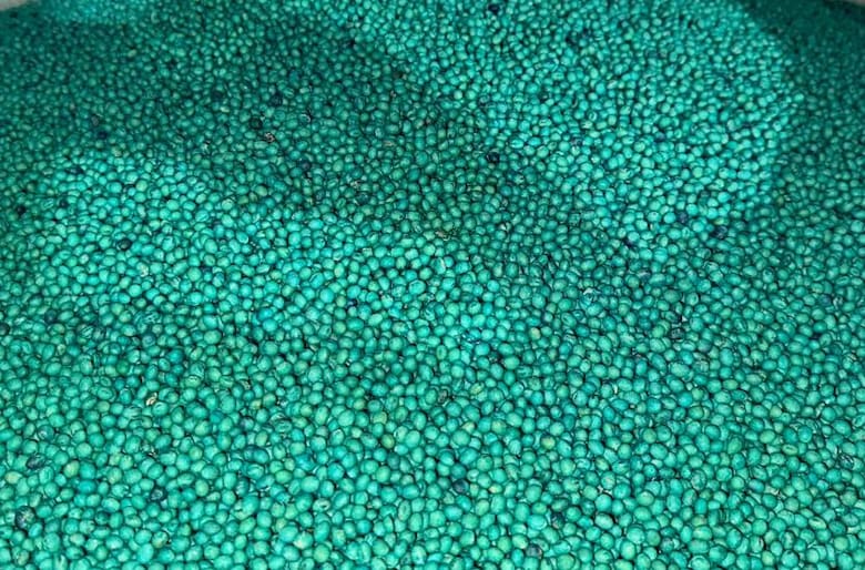 Semillas bajo la lupa: el Gobierno convoca al campo para redefinir el sistema de fiscalización y propiedad intelectual