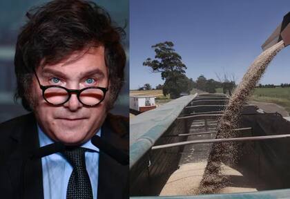 El agro espera que, más pronto que lejos, se comiencen a cumplir y llevar adelante las reformas impositivas