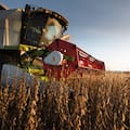 La economía creció 3,5% mensual en marzo y 5,5% interanual