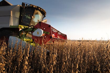 El agro fue un de los sectores que más impulsó al EMAE en abril