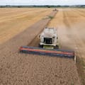 Hay una oportunidad y es para aprovecharla con el agro
