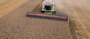 Hay una oportunidad y es para aprovecharla con el agro