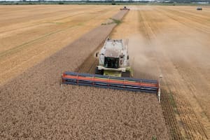 Hay una oportunidad y es para aprovecharla con el agro