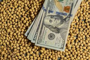 Dólar exportador: el agro tiene por liquidar casi US$3000 millones, pero con condicionantes