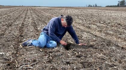 El agrónomo Juan Pablo Ioele