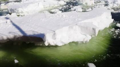 El agua de deshielo que fluye desde la plataforma de hielo Dotson arrastra hierro a la superficie, lo que permite la proliferación del fitoplancton