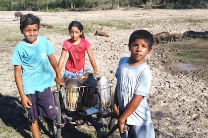 El agua de la laguna está muy sucia por los chanchos que viven ahí, por el viento y el barro.