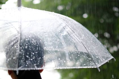 El agua de lluvia trae consigo múltiples alimentos de la naturaleza aptos para consumir (Foto: iStock)