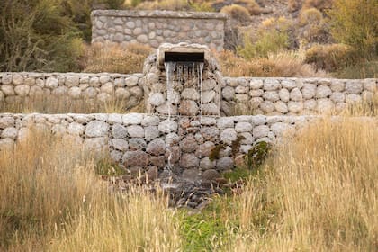 El agua de manantial que descubrieron en Estancia Don José.