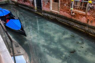 El confinamiento está limpiando el aire, pero el “efecto verde” puede ser fugaz