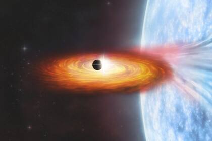 El agujero negro detectado en NGC 1850 es capaz de deformar a su estrella compañera