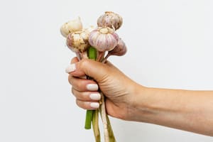 Cuáles son las tres propiedades curativas del ajo y sus riesgos, según la Universidad de Rochester