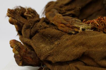 El ajuar funerario incluye sandalias de cuero de camélido, una honda, una manilla de hilo, una olla pequeña de barro y bolsitas tejidas con fibra animal que contienen restos de maíz, fruta y coca.