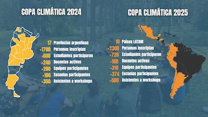 El alcance de la Copa en ediciones anteriores