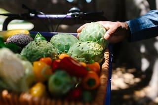 El vegetal recomendado para controlar la diabetes y proteger las vías urinarias