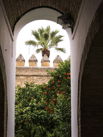 El Alcázar de la ciudad.