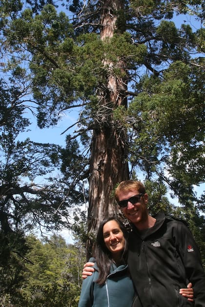 El "Alerce Abuelo" tiene 2600 años y es uno de los tesoros de la naturaleza de Esquel