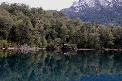La navegación hacia el alerzal milenario