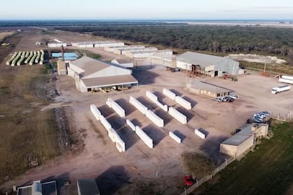 El algodón tiene una importante industria en general vinculada