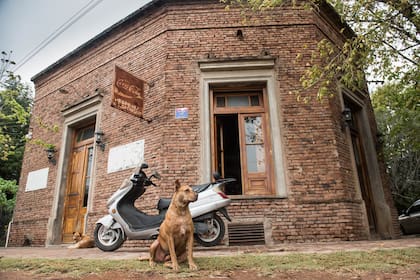 El almacén de Gaby y Gastón es conocido como "Lo de Beto" y es donde siempre coinciden los habitantes de Villa Ruiz.