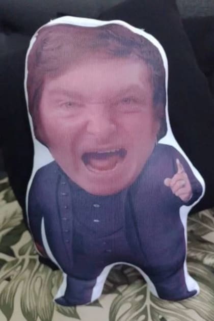 El almohadón de apego de Javier Milei mide 26 centímetros de alto, por 15 de ancho y 7 centímetros de diámetro