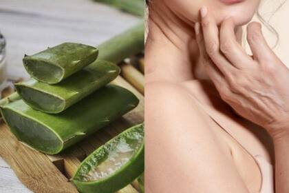 El aloe vera puede resultar esencial para tu piel