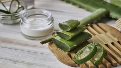 El aloe vera tiene varios beneficios al cuidado de la piel (Istock)
