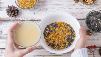 El alpiste comercial debe ser apto para el consumo humano de calidad alimentaria con etiquetado de libre de fibras de sílice
Foto: iStock