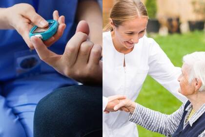 El Alzheimer y la diabetes son las dos condiciones prioritarias donde se enfoca el estudio de los beneficios de este alimento