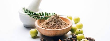 El Amalaki es una planta que ofrece un fruto similar a la grosella con múltiples propiedades benéficas para retrasar el envejecimiento